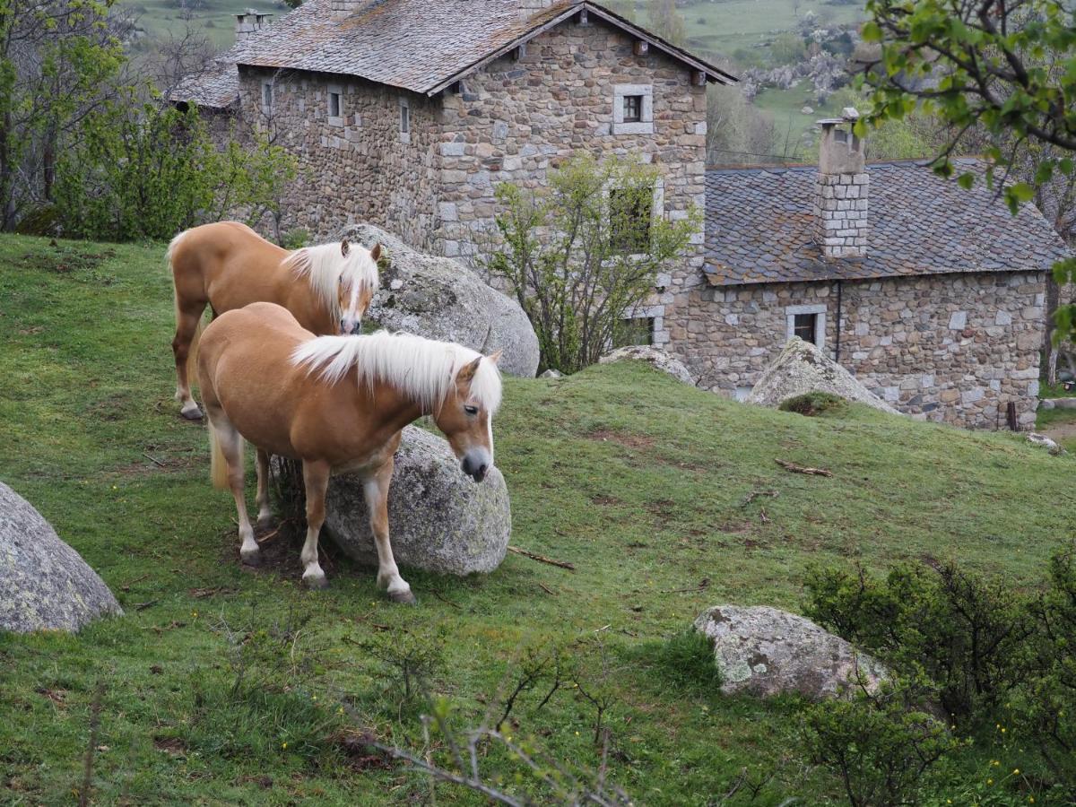 Ferme Can Llull Enveitg Exterior photo
